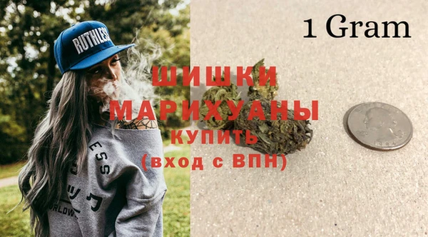 шишки Балахна