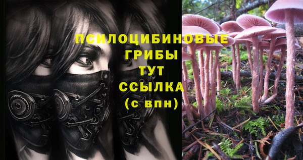шишки Балахна