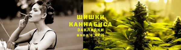 шишки Балахна