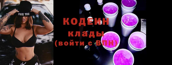прущие грибы Балабаново