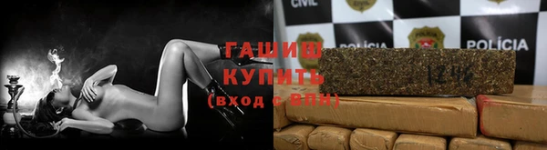 прущие грибы Балабаново