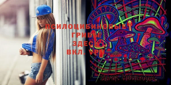 прущие грибы Балабаново