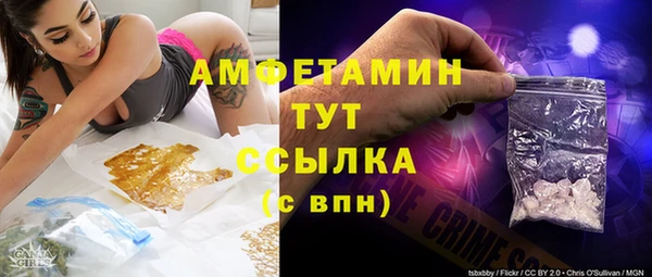 прущие грибы Балабаново