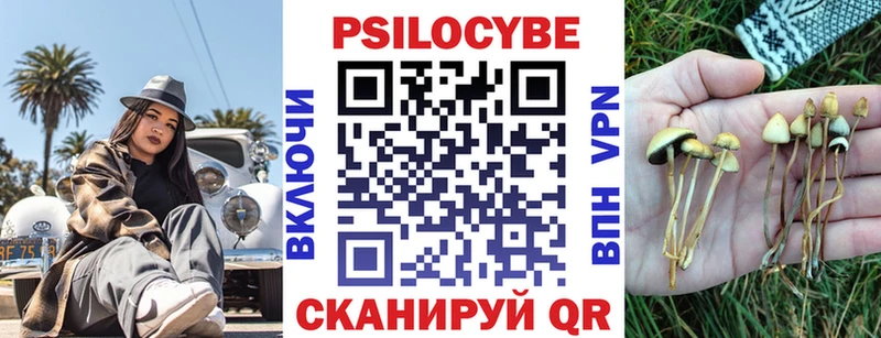 Псилоцибиновые грибы прущие грибы купить сайты Красноуфимск